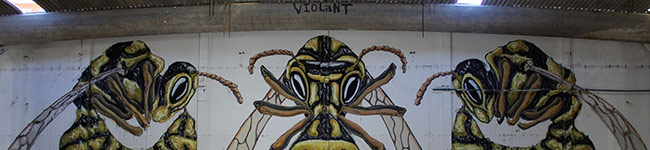 Wasps by Violant